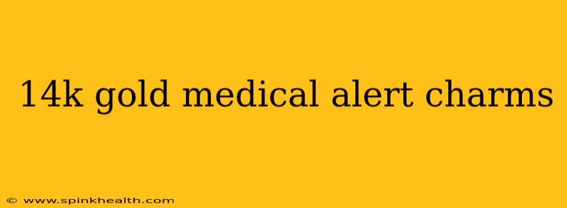 14k gold medical alert charms