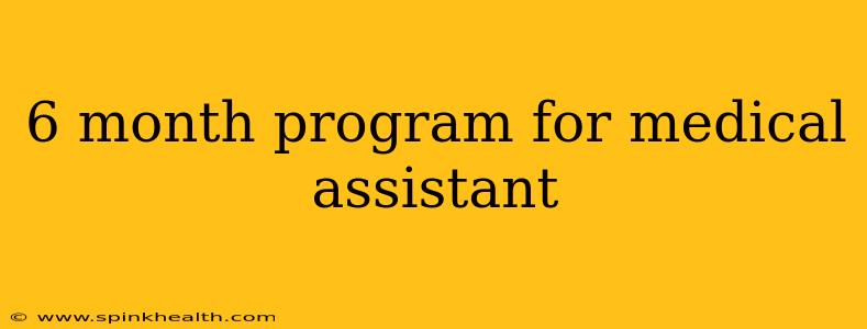 6 month program for medical assistant