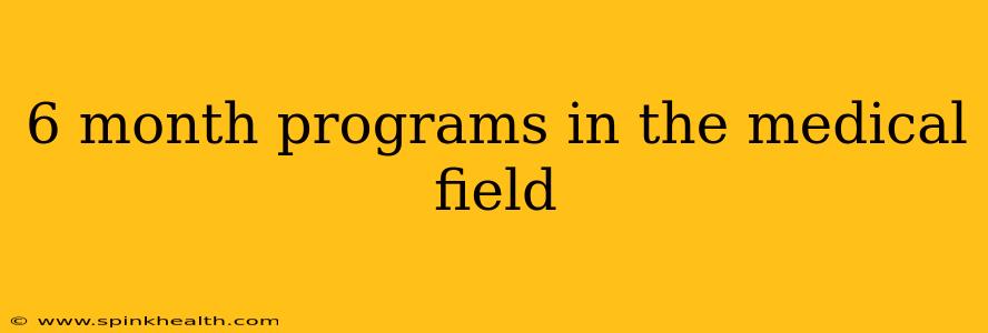 6 month programs in the medical field