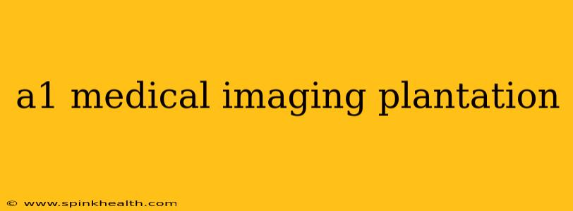 a1 medical imaging plantation