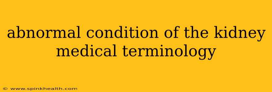 abnormal condition of the kidney medical terminology