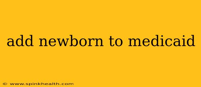 add newborn to medicaid