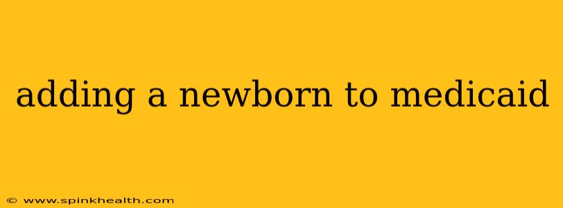 adding a newborn to medicaid