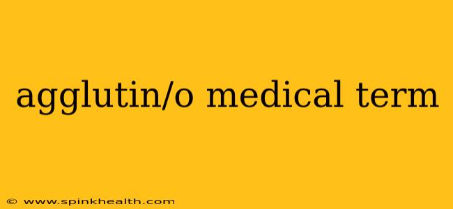 agglutin/o medical term