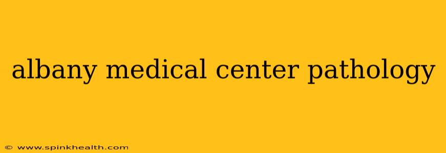albany medical center pathology