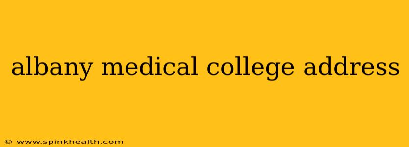albany medical college address