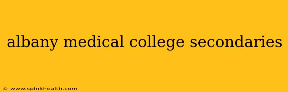 albany medical college secondaries