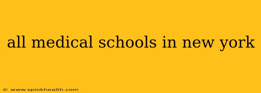 all medical schools in new york