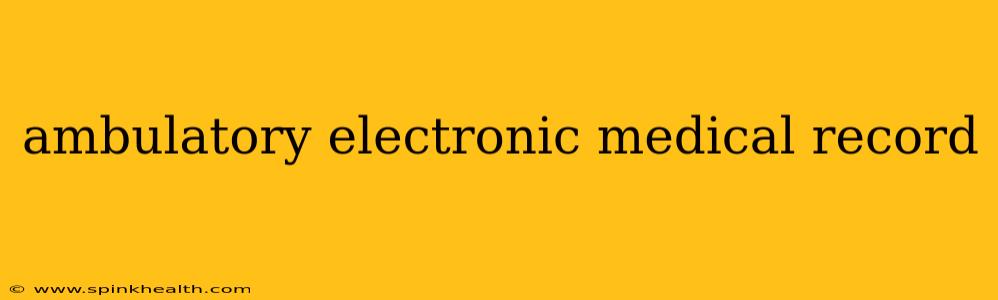 ambulatory electronic medical record