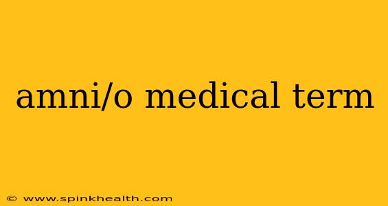 amni/o medical term
