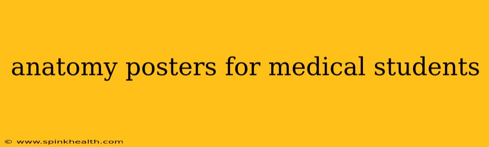 anatomy posters for medical students