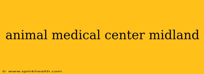 animal medical center midland