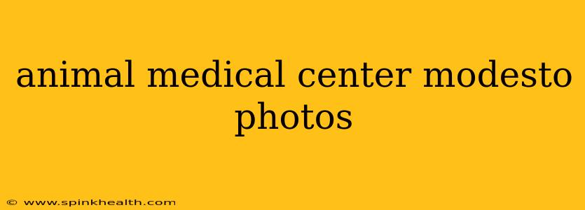 animal medical center modesto photos