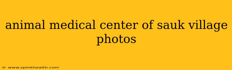animal medical center of sauk village photos