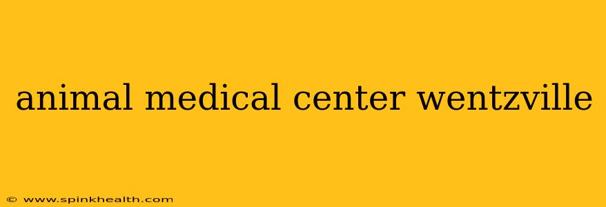 animal medical center wentzville