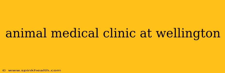 animal medical clinic at wellington
