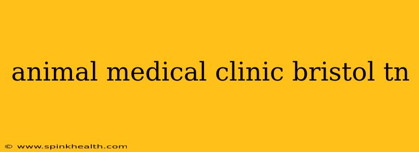 animal medical clinic bristol tn