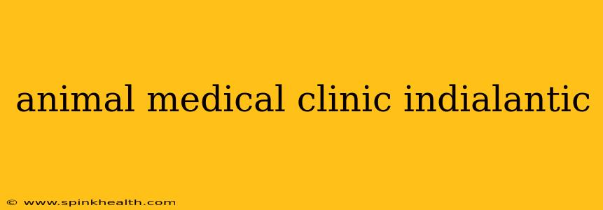 animal medical clinic indialantic