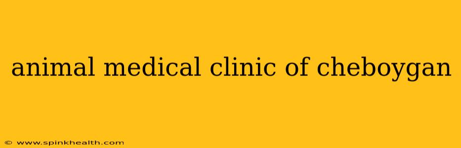 animal medical clinic of cheboygan