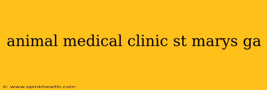 animal medical clinic st marys ga