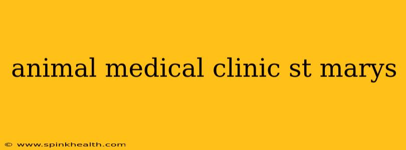 animal medical clinic st marys