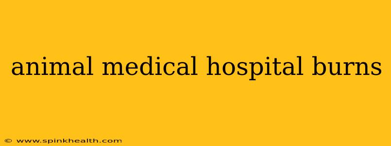 animal medical hospital burns