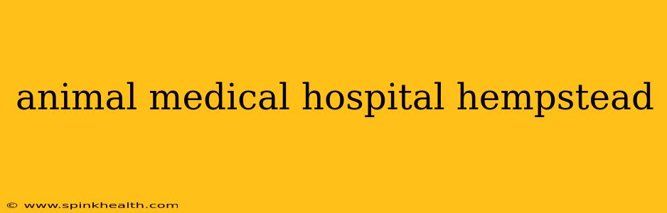 animal medical hospital hempstead