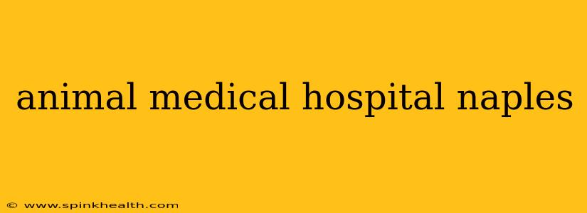 animal medical hospital naples