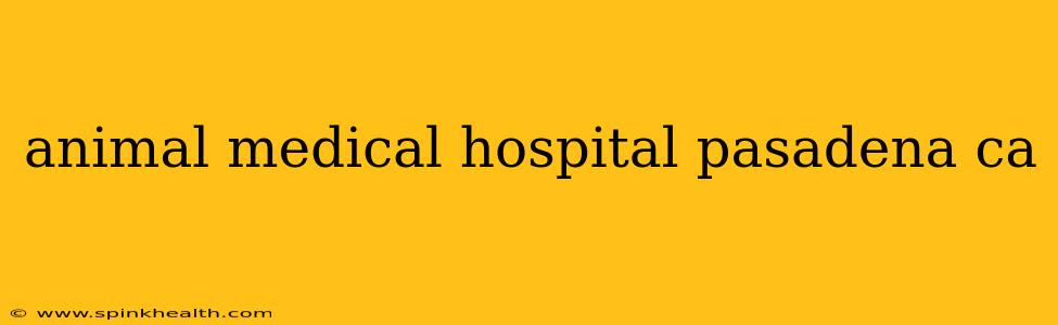 animal medical hospital pasadena ca