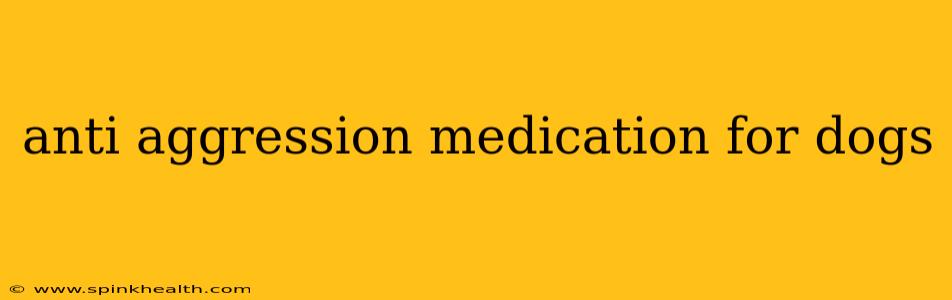 anti aggression medication for dogs