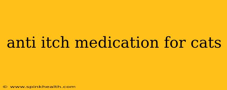 anti itch medication for cats