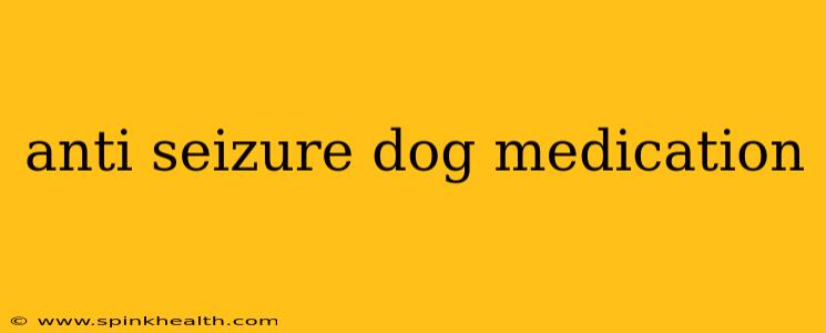 anti seizure dog medication