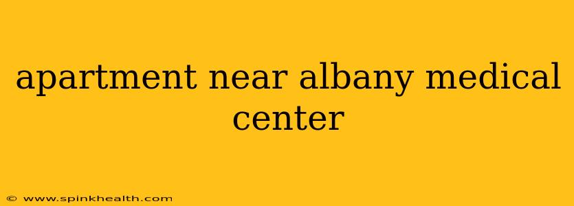 apartment near albany medical center