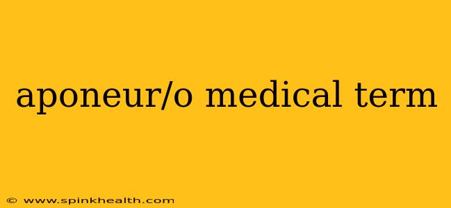aponeur/o medical term