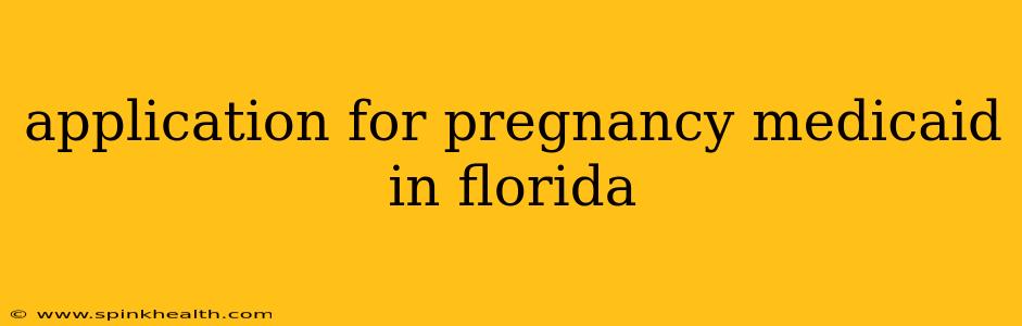 application for pregnancy medicaid in florida