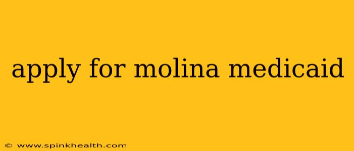 apply for molina medicaid