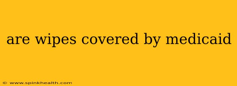 are wipes covered by medicaid