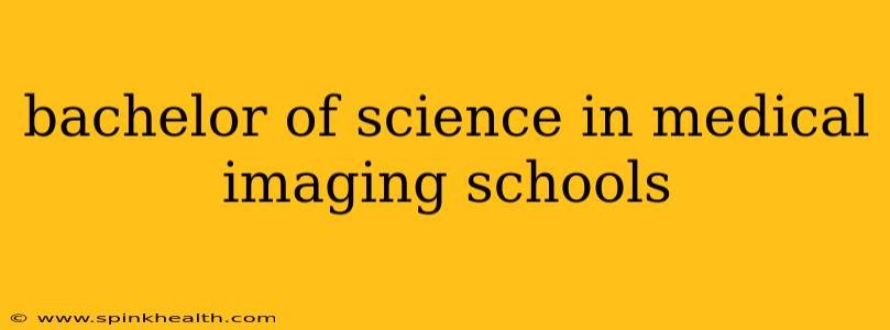 bachelor of science in medical imaging schools