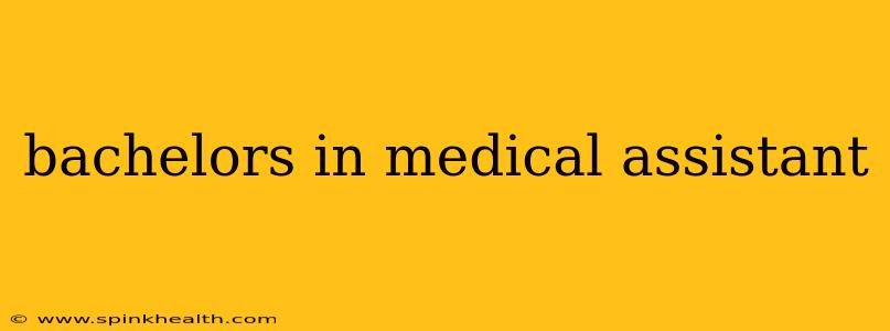 bachelors in medical assistant