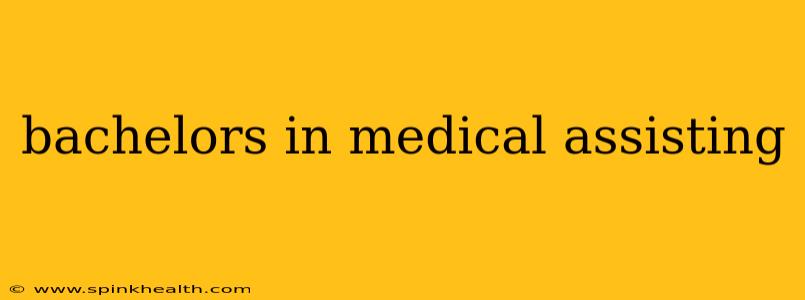 bachelors in medical assisting