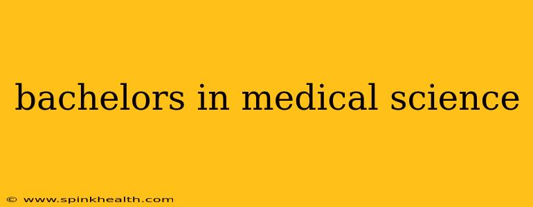 bachelors in medical science