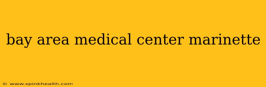 bay area medical center marinette