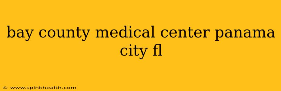 bay county medical center panama city fl