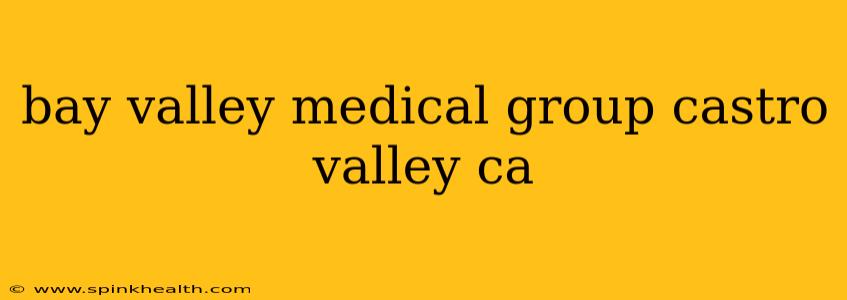 bay valley medical group castro valley ca