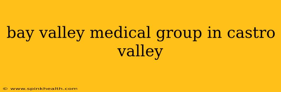 bay valley medical group in castro valley