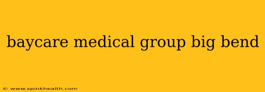 baycare medical group big bend