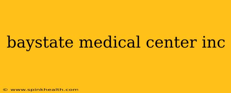 baystate medical center inc