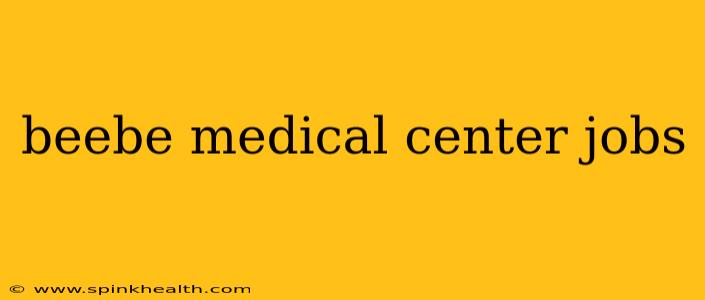 beebe medical center jobs