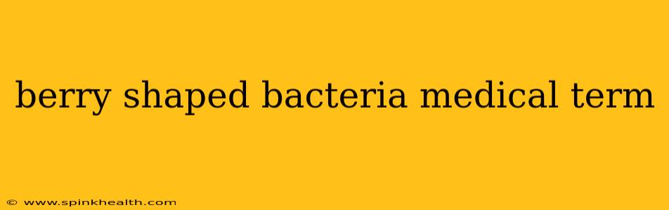 berry shaped bacteria medical term