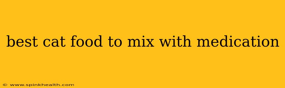best cat food to mix with medication